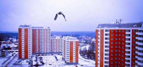 Вид_из_окна_летит_copy.jpg