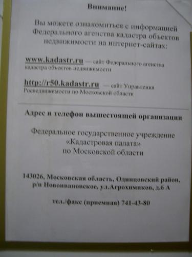 CIMG2802.JPG