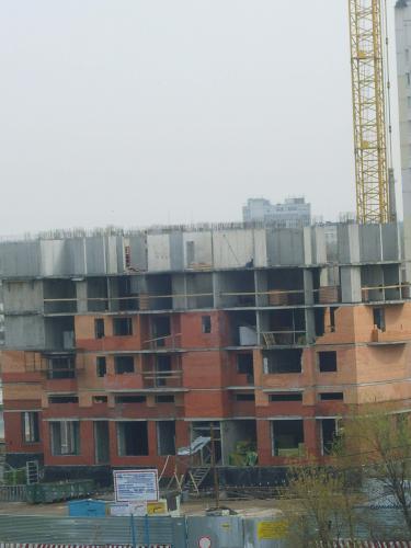 S8004864.JPG
