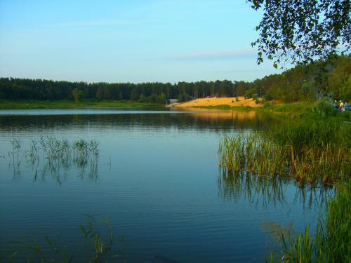 PICT2763.JPG