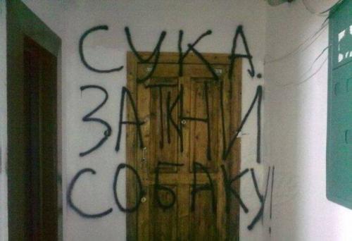 Собака.jpg