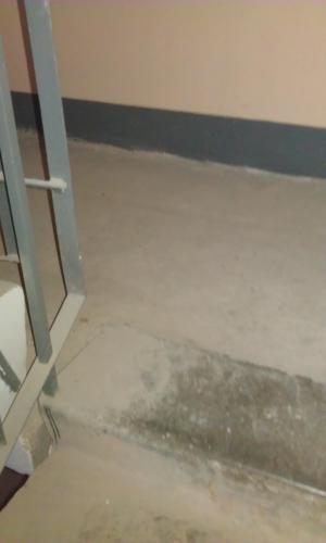 IMAG0559.jpg