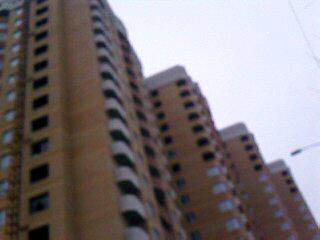 20071208_00392.jpg