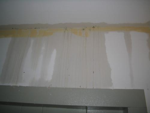 19________2007_004.jpg